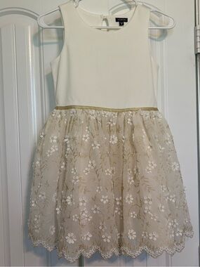 Zunie Cream and Gold Floral Tulle Party Dress for Girls